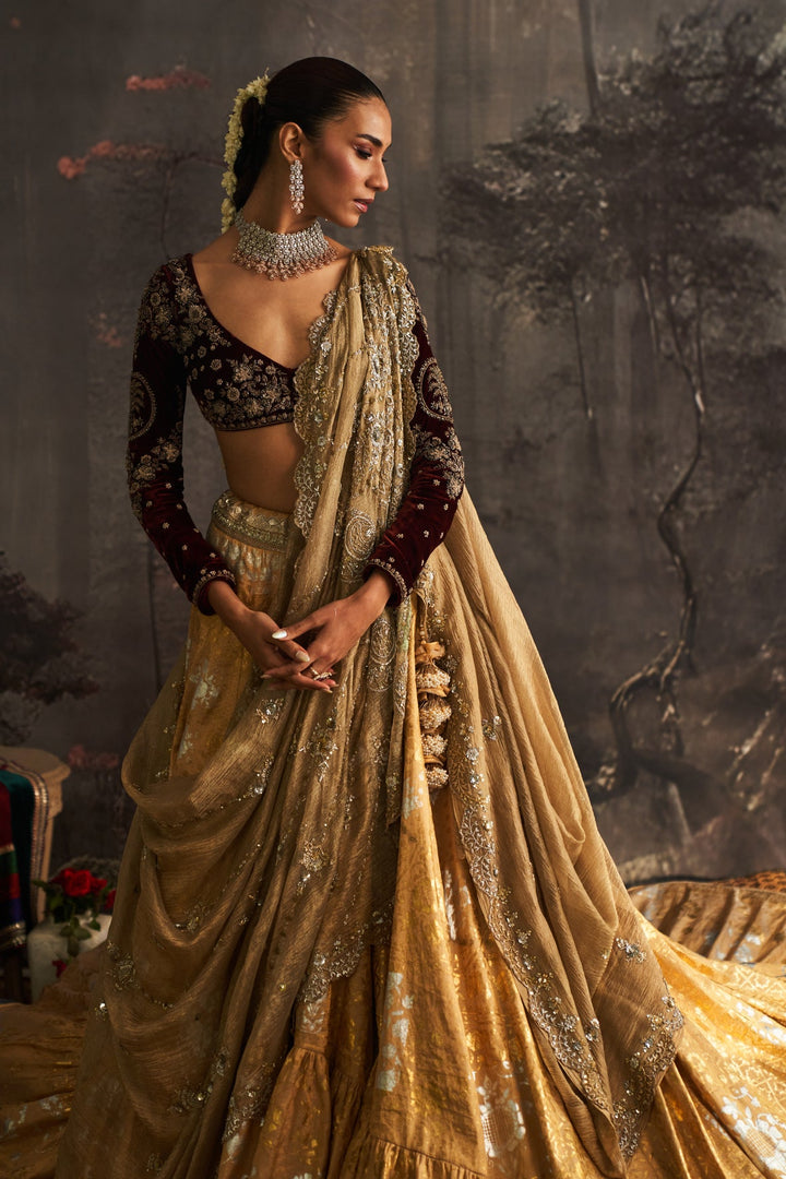 Gold & Silver & Silk Tissue Embroidered Saree (1 PC)