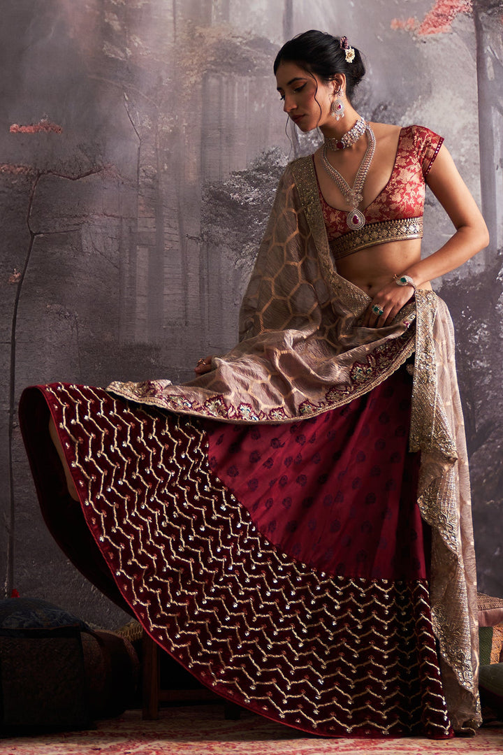 Maroon Mushroo Embroidered Lehenga Set (3 PCS)