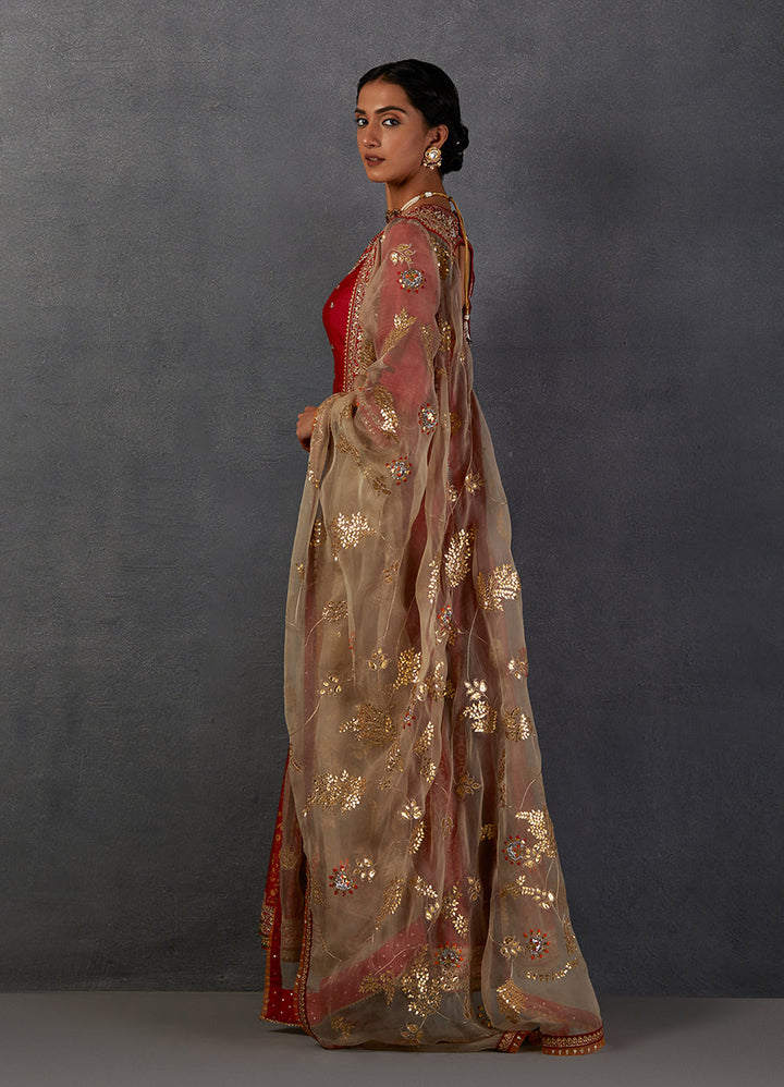 Crimson Red Silk Chanderi Gold Printed &Amp; Embroidered Anarkali Set